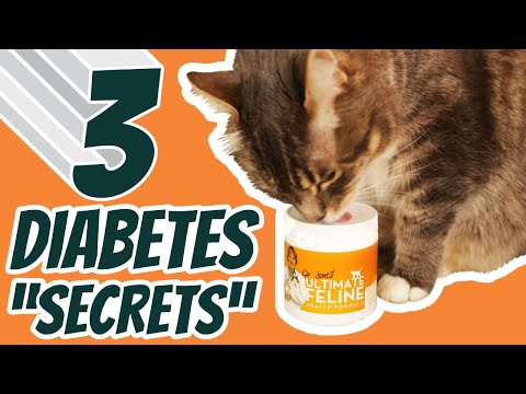 Diabetes In Cats: Best Home Remedies